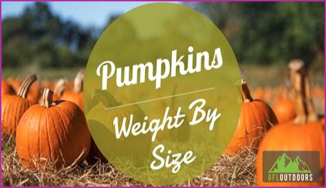 How Much Does Pumpkin Make Per Episode On Mama June?